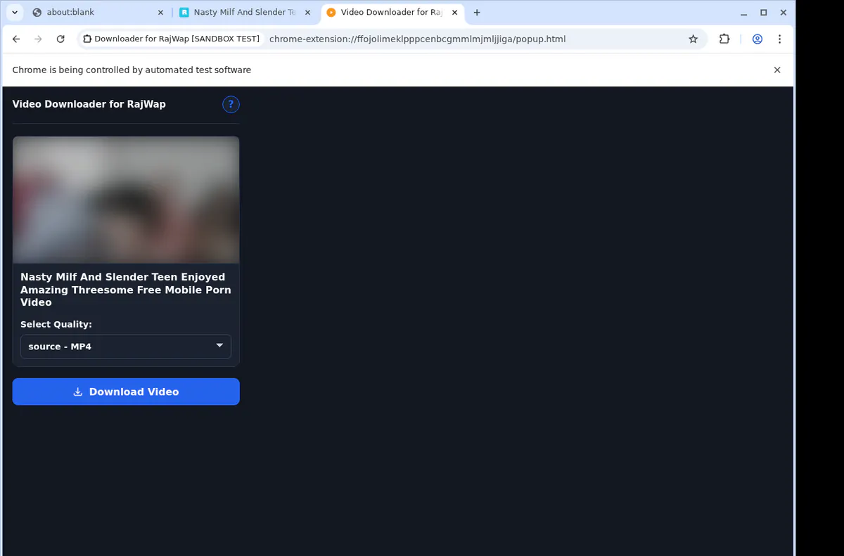 Rajwap Video Downloader screenshot 3